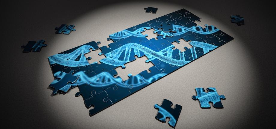 Unusual DNA structures shed light on the evolution of the hepatitis B virus
