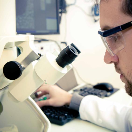 Master 1 Ingénierie BioMédicale (BME)